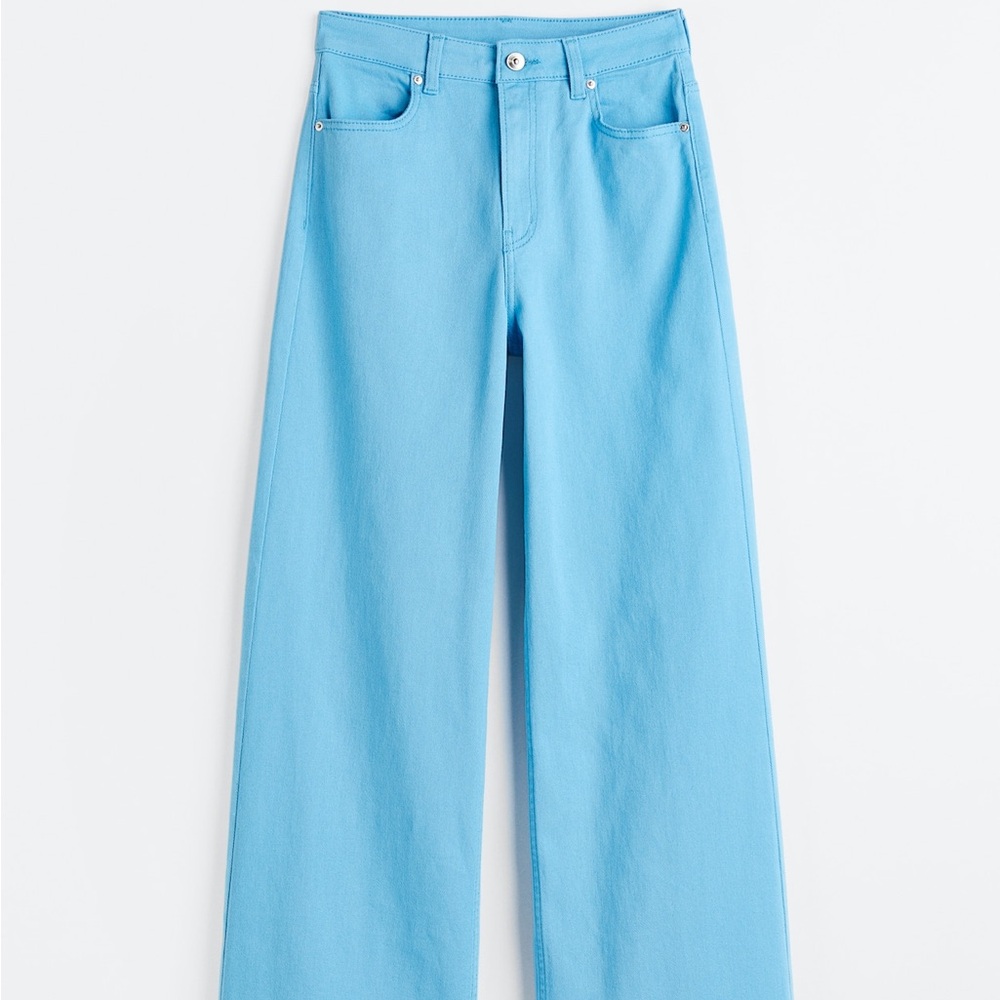 H&M Wide Leg Twill Pants